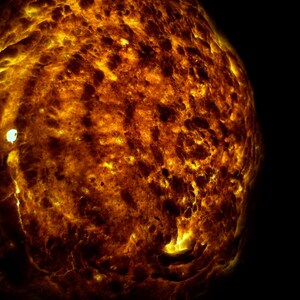 May include: A circular, textured object with a glowing, translucent surface that displays deep amber, orange, and dark brown mottled patterns. The light emanates from within, highlighting the uneven, cratered surface against a black background.