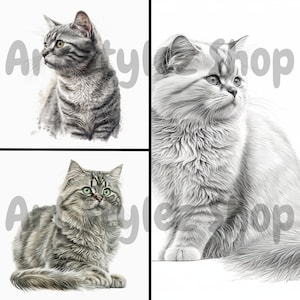 Gato Gatos Clipart - 24 PNG de alta qualidade - Download digital - Criação de cartões, mídia mista, artesanato de papel digital ilustrado comercial de uso instantâneo