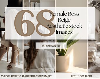 68 Stock Photos | MRR | Beige Palette | Social Media Branding | Insta Stories | Female Entrepreneur, Faceless Marketing, PLR digital product