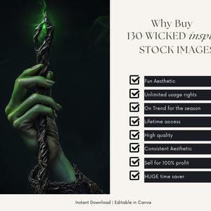 Best Selling Wicked Inspired Stock Images, Wicked PNG, Wicked the ...