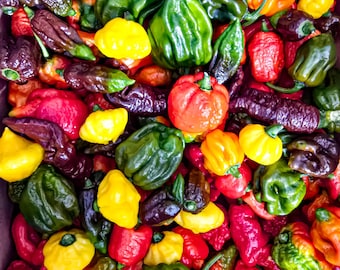 1 Pound Mixed Super Hot Peppers