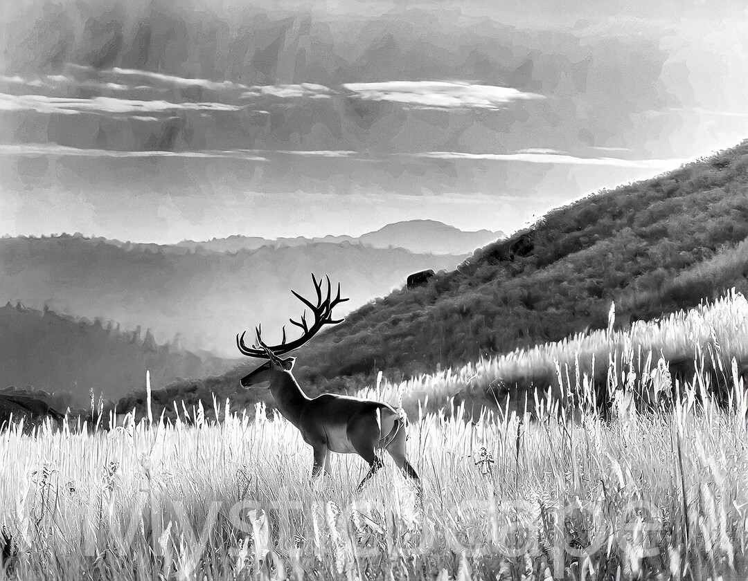 Digital Download Art Black and White Wall Art Mountain Landscape Wall ...