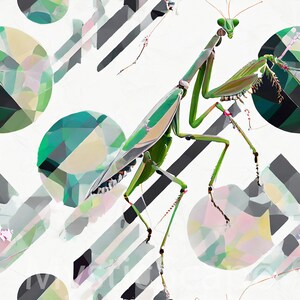 Op de afbeelding: Een groene bidsprinkhaan met lange poten en een gesegmenteerd lichaam loopt op een witte achtergrond met zwarte en witte strepen en groene en witte cirkels.