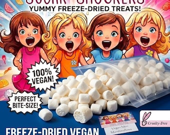 Op de afbeelding: Een doorzichtig plastic zakje gevuld met witte, cilindervormige, gevriesdroogde veganistische mini-marshmallows. De verpakking bevat illustraties van vier kinderen, de tekst "SUGAR SHOCKERS", "100% VEGAN!", "PERFECT BITE-SIZE!" en "FREEZE-DRIED VEGAN MINI MARSHMALLOWS (SWEETENED)".