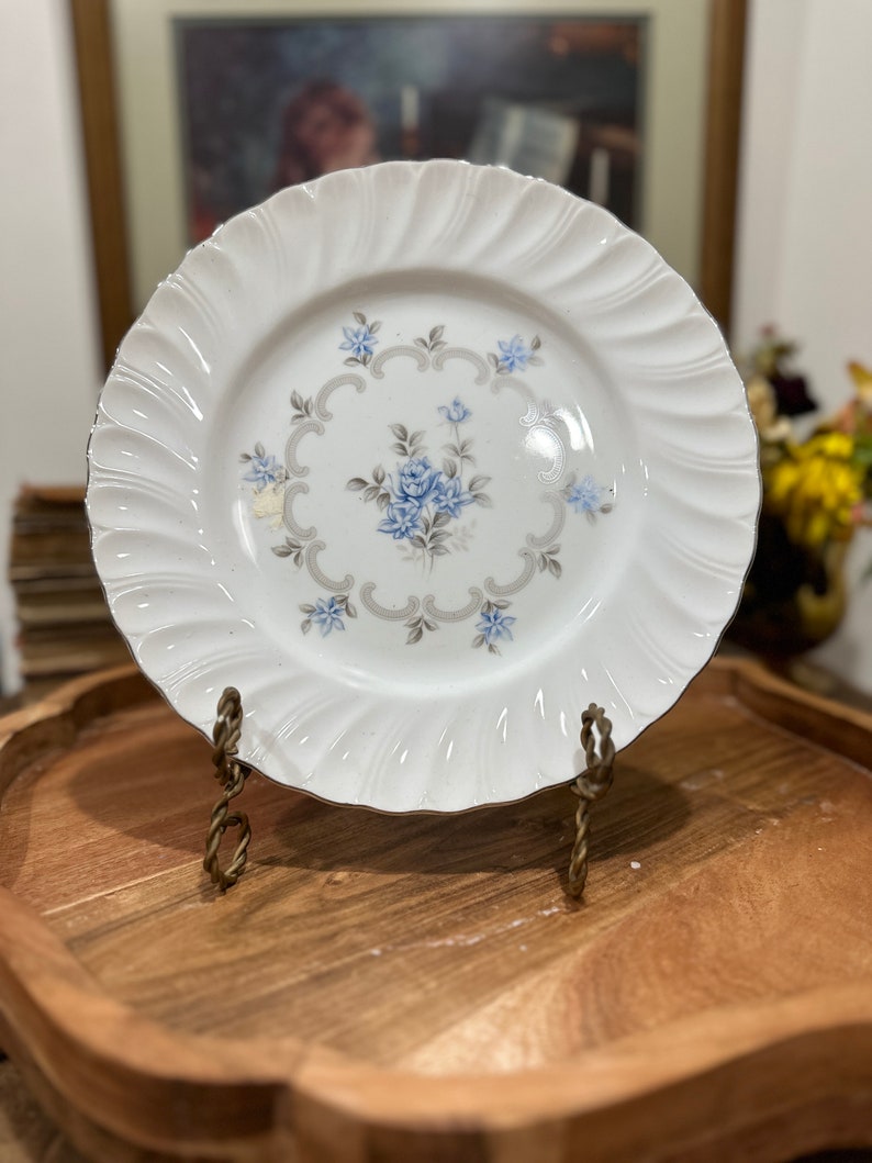 Haviland Limoge Bergere Pattern Fine Bone China Dinner Plates Set of 2