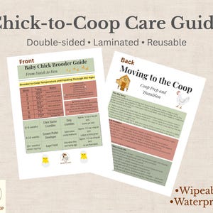 May include: A double-sided, laminated, and reusable Chick-to-Coop Care Guide. The front side is a Baby Chick Brooder Guide, and the back side is a Moving to the Coop guide. The guide includes information on temperature, feeding, and coop preparation.