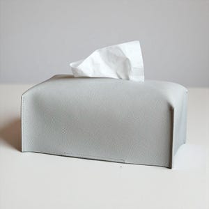 Puede incluir: Una funda rectangular para caja de pa&ntilde;uelos de color gris claro con superficie texturizada. Un pa&ntilde;uelo blanco sobresale de la abertura superior. Dise&ntilde;o sencillo y moderno, adecuado para el hogar o la oficina.