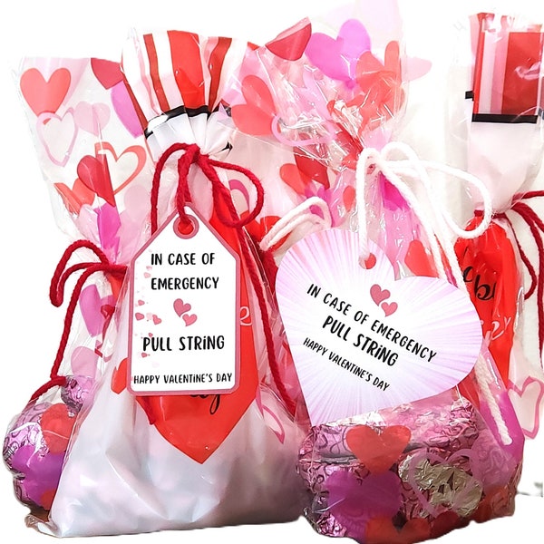 Funny Valentine's Day Gift Bag Tag "In Case of Emergency Pull String"