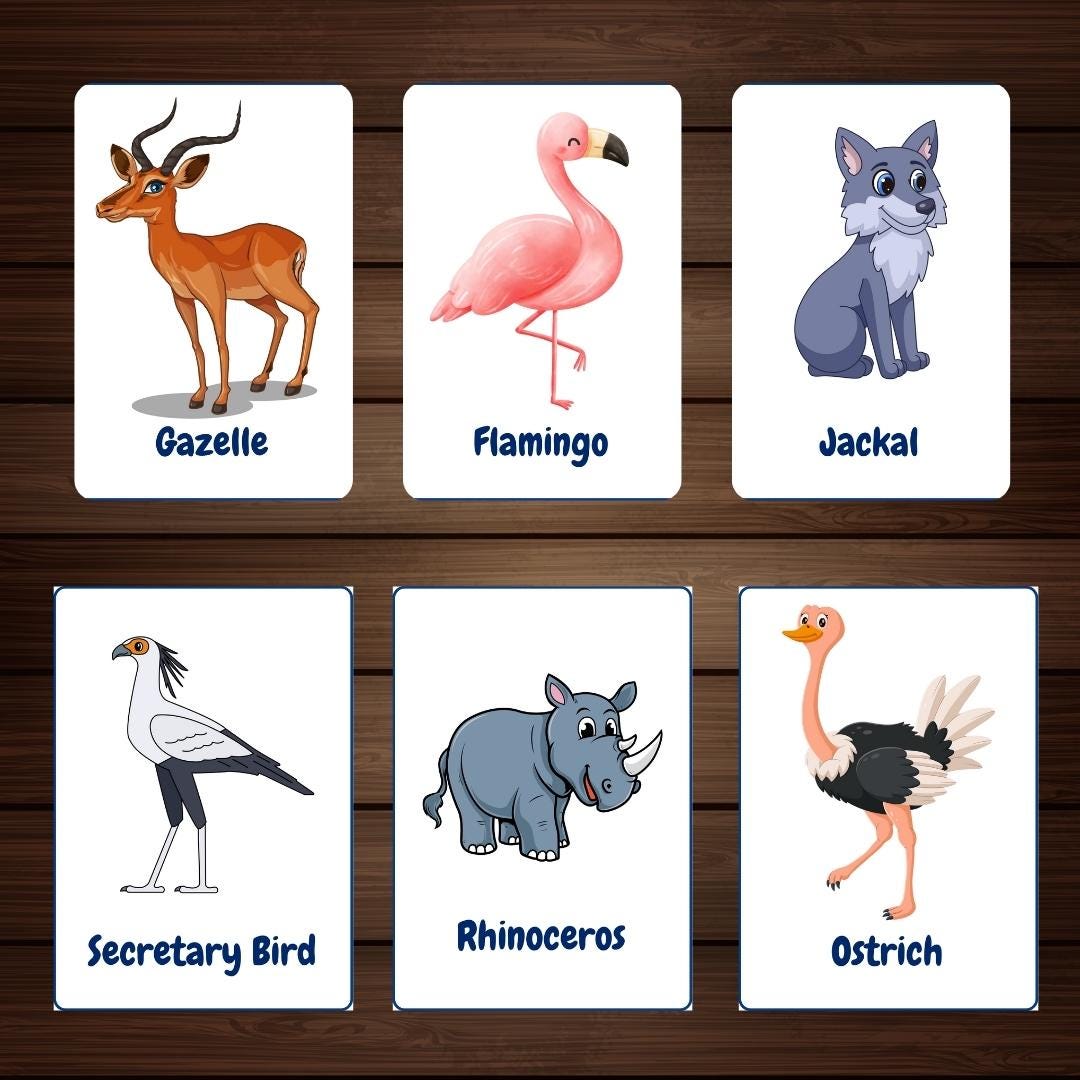 25 Safari Animals Flash Cards | Printable Educational Cards for Kids ...
