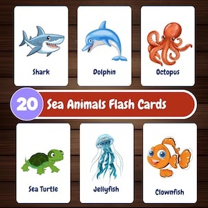 20 Children&#39;s Sea Animals Flashcards, Montessori Flashcards, Sea Animal Flashcards, Sea Creatures Flashcards, Instant Downloads, Flash Cards