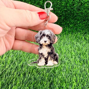 May include: A clear acrylic keychain featuring a seated dog illustration with black, white, and gray fur. The keychain has a silver-colored clasp and a small metal ring. The background is a vibrant green.