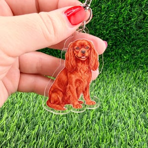 May include: A clear acrylic keychain featuring a Cavalier King Charles Spaniel dog illustration. The dog is depicted in shades of brown and red, with a silver-colored clasp attached. The keychain is held against a backdrop of green artificial grass.