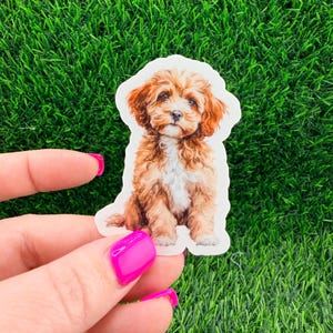 May include: A sticker featuring a detailed illustration of a small, fluffy dog with brown and white fur. The dog is sitting, with a sweet expression. The sticker is held against a backdrop of green artificial grass.