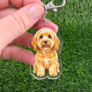 May include: A clear acrylic keychain featuring a smiling, cartoon-style Cavapoo dog with golden-brown fur. The keychain has a silver-colored clasp and a small metal ring. The dog is sitting upright, and the background is a vibrant green.