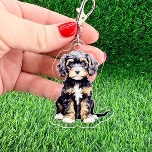 May include: A clear acrylic keychain featuring a Cavalier King Charles Spaniel puppy. The dog has black, tan, and white fur and is attached to a silver-colored clasp. The keychain is held against a backdrop of green grass.