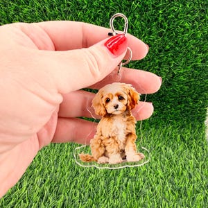 May include: A clear acrylic keychain featuring a sitting puppy with tan and white fur. The keychain has a silver-colored metal ring and clasp. The puppy is sitting on a cloud-shaped base.