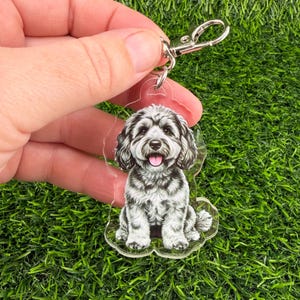 May include: A clear acrylic keychain featuring a detailed illustration of a fluffy black and white dog sitting with its tongue out. The dog has a shaggy coat, dark ears, and a happy expression. The keychain includes a silver metal lobster clasp.