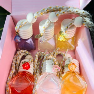 May include: A collection of six small, decorative glass bottles filled with colorful liquids, arranged in a pink box. Each bottle has a white cap, a decorative charm, and a braided rope for hanging. The liquids are various colors, including purple, orange, and yellow.