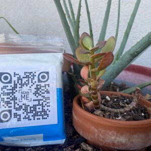 May include: A white resealable bag with a blue border and a black and white QR code that says "SCAN ME". The bag is labeled "Sula Chang". The bag is sitting on a brown surface next to a small potted plant with green leaves.