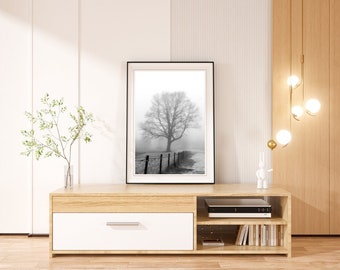 Black and White Digital Photo of Foggy Tree and Fence