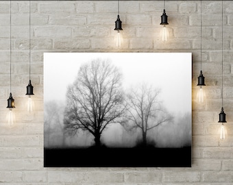 Black and White Photograph of Trees Silhouetted against the Setting Sun of a Foggy Day