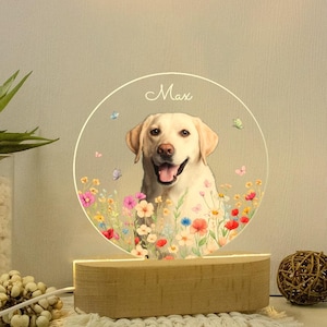 Custom Pet Portrait Night Light, Loss Pet Memorial Gift, Dog Mom Gift, Pet Photo Lamp, Gift For Dog Lover, Dog Loss Gift, Sympathy Gifts