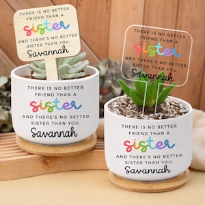 Personalized gift for friends, Sister Gift, There&#39;s No Better Friend Than a Sister, Sister Birthday Gift, Personalized Planter