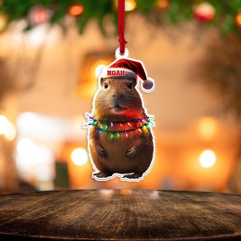 Personalized Capybara Acrylic Ornament, 2D Acrylic Flat Ornament Not 3D ...