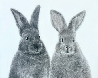 Animal pencil drawing