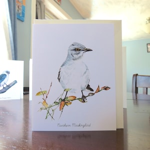 Carta vuota all'interno del Northern Mockingbird