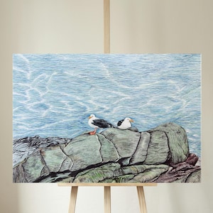 Stampa artistica Gabbiani sulle rocce