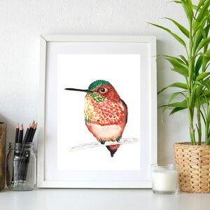 Dipinto originale ad acquerello di un colibrì rossiccio