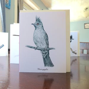 Vuoto all'interno della carta Phainopeplas