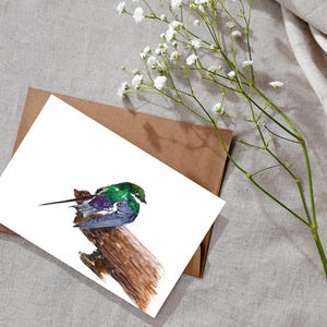 Stampa artistica di Rondine Viola-Verde di un dipinto ad acquerello originale