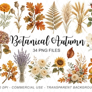 Höstbotanisk Clipart-paket, höstlövblommor veteekollon PNG, rustik höstcottagecore Clipart, höstbotanisk PNG kommersiell användning