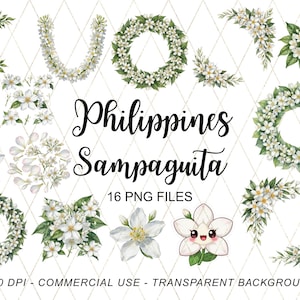 Sampaguita Clipart PNG Bundle, Filipino Flower Clipart, Jasmine Floral Wreath, Filipiniana Wedding Decor, Philippines Flower PNG