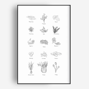 Kitchen Herb & Spice Poster - Black and White Botanical Wall Art, Digital Download, Minimalist Kitchen Decor