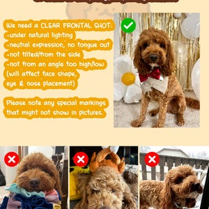 May include: A brown dog in a bow tie and vest, with text instructions for pet photos. The text details requirements for a clear frontal shot, natural lighting, and neutral expression. Examples of incorrect photos are also shown.