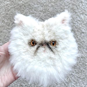 May include: A fluffy white cat face with orange eyes and a grumpy expression. The cat has a dark grey nose and a small, dark grey line above the eyes. The cat's fur is long and shaggy, giving it a soft appearance.