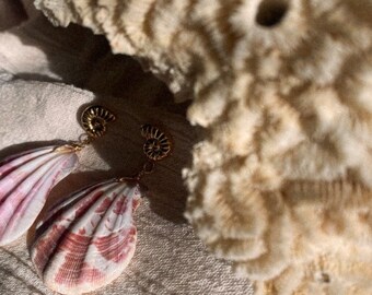 Boucles d’oreille véritable coquillage seashell