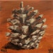 Little Pine Cone (May 2014) original oil painting still life on box canvas