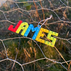 Puede incluir: Una colorida etiqueta con el nombre "JAMES" hecha a mano con bloques de pl&aacute;stico entrelazados. Las letras son rojas, amarillas, azules y verdes, unidas con hilo blanco, sobre un fondo borroso de una valla de alambre y follaje.