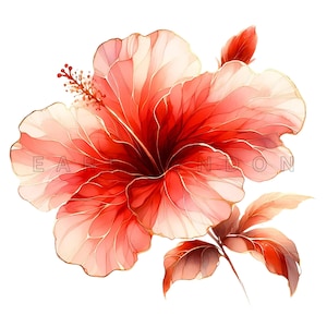 Roter Hibiskus Clipart - Gold Orange Tropische Blume Digital Art, Blumen Aquarell Printables, 15 hochwertige 300 dpi transparente PNGs