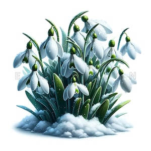 Clipart de Flocos de Neve - Arte Digital de Flores da Primavera, Imprimíveis de Aquarela Floral, 15 JPEGs de Alta Qualidade de 300 DPI, Impressões de Decoração de Parede, Diário de Junções