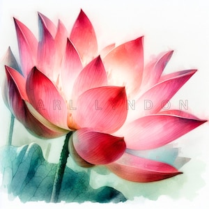 Lotus-clipart - Indiase nationale bloem digitale kunst, bloemen aquarel printables, 15 hoge kwaliteit 300 dpi png-bestanden