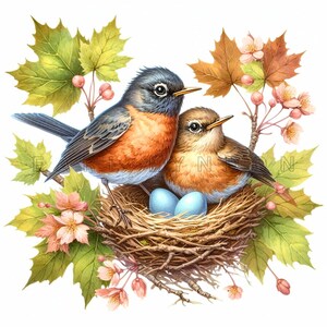 Imágenes prediseñadas de petirrojos de primavera: aves cortejando y anidando con huevos azules. Arte natural. Imprimibles en acuarela. 15 imágenes JPEG de alta calidad de 300 DPI. Proyectos de bricolaje.