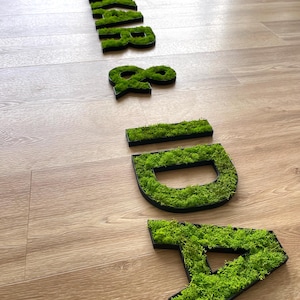 Pu&ograve; includere: Lettere di muschio verde che compongono la parola "BIRTHDAY" disposte su un pavimento in legno. Ogni lettera ha un bordo nero ed &egrave; riempita di muschio verde brillante. Le lettere sono disposte in modo informale e sparso.