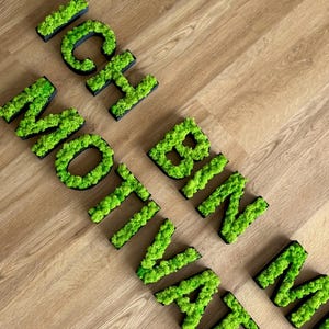 Letras de musgo individuales: decoración de pared 3D con relleno de musgo real, personalizables, letras decorativas naturales en el tamaño que desee.