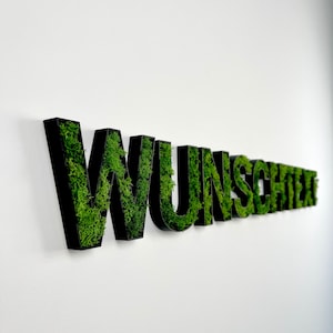 Letras de musgo personalizadas – Letras 3D con relleno de musgo – Decoración de pared de palabras con musgo – Color y tamaño seleccionables – Decoración natural individual