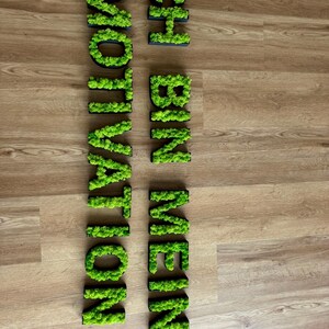 Pu&ograve; includere: Lettere di muschio verde che compongono le parole "MOTIVATION" e "ICH BIN MEINE" su una superficie di legno. Le lettere sono montate su basi nere, creando un effetto 3D. Il muschio &egrave; di un colore verde vibrante.